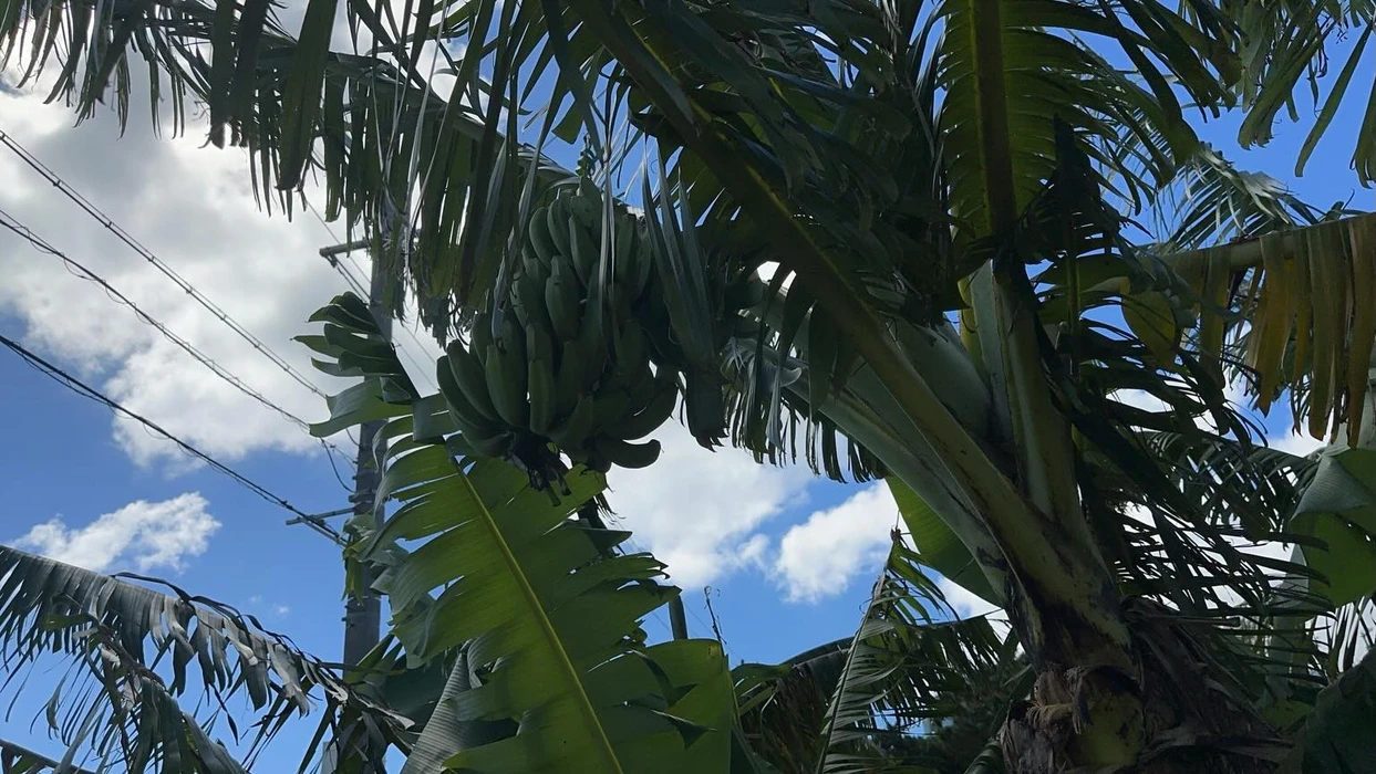 画像272