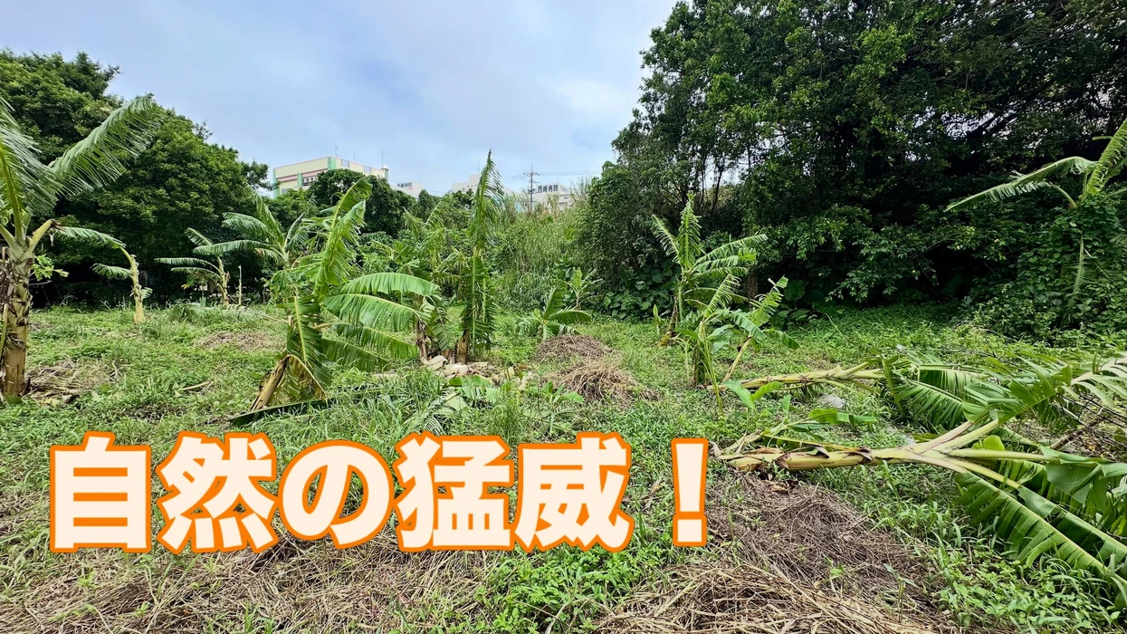 画像275
